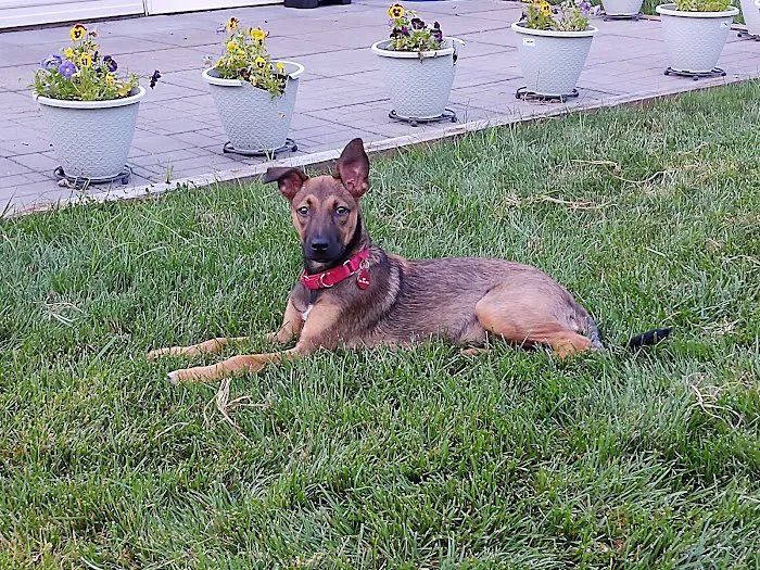 Creek's Edge Animal Hospital Picture 4
