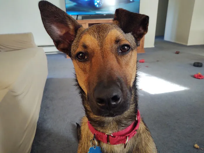 Creek's Edge Animal Hospital Picture 7