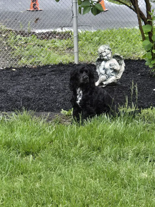 Creek's Edge Animal Hospital Picture 9