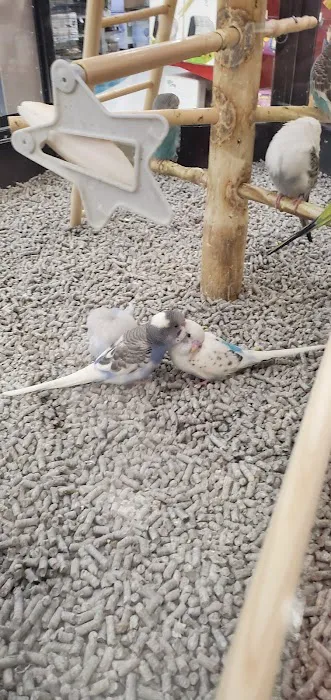 Petco Picture 4