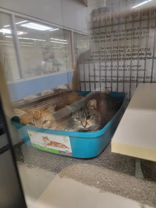 Petco Picture 5