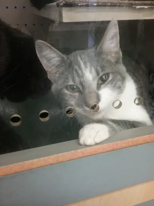 Petco Picture 8