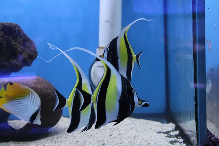 Ocean Gallery Picture 3