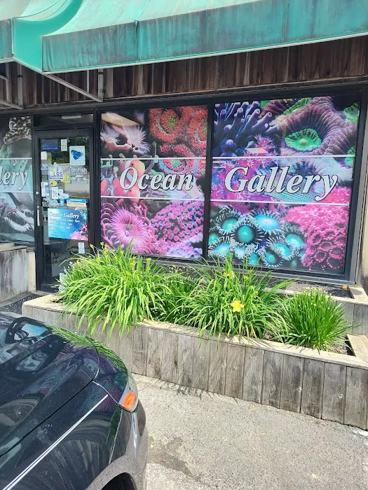 Ocean Gallery Picture 2