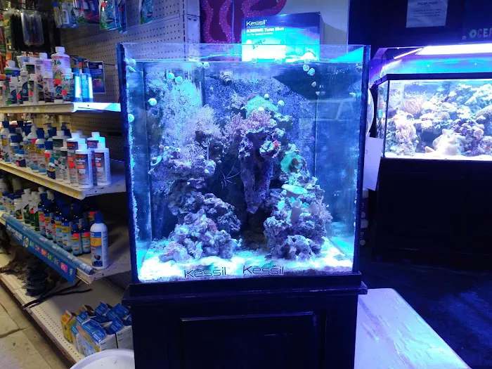 Ocean Gallery Picture 4