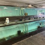Ocean Gallery