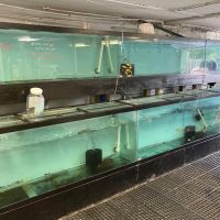 Ocean Gallery ico