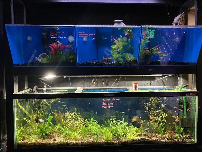 Ocean Gallery Picture 5
