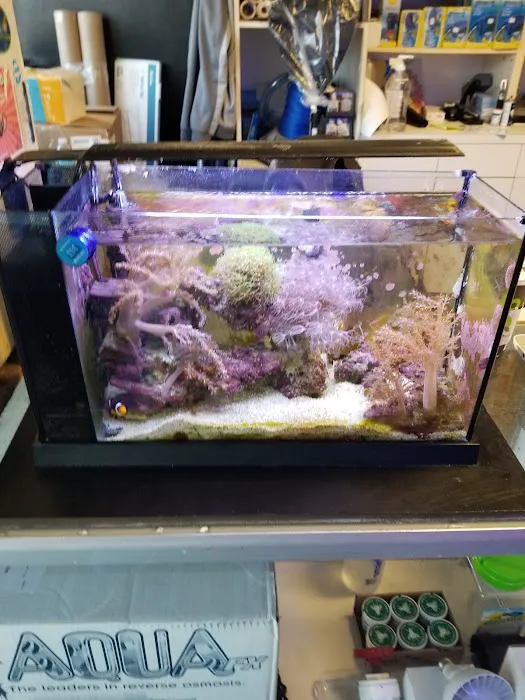 Ocean Gallery Picture 7