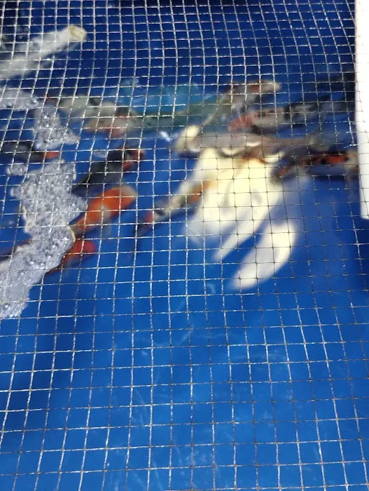 Ocean Gallery Picture 6