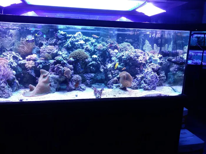 Ocean Gallery Picture 10
