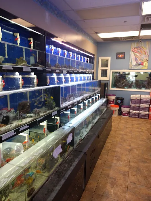Aquaridise Picture 6