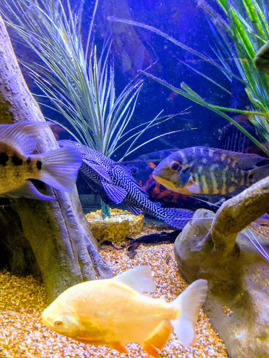 Aquaridise Picture 8