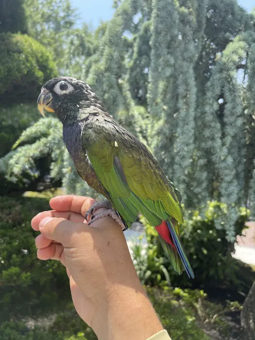 BirdsByUs Picture 2