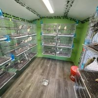 BirdsByUs ico