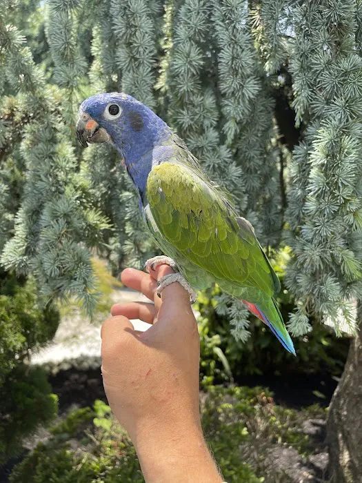 BirdsByUs Picture 3