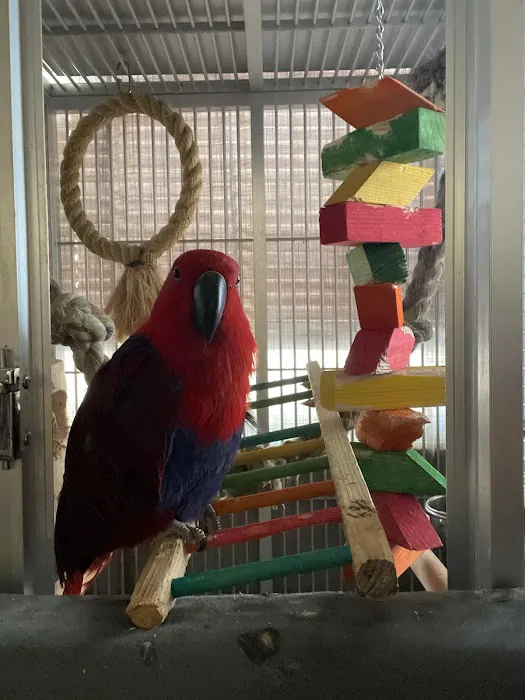 BirdsByUs Picture 10