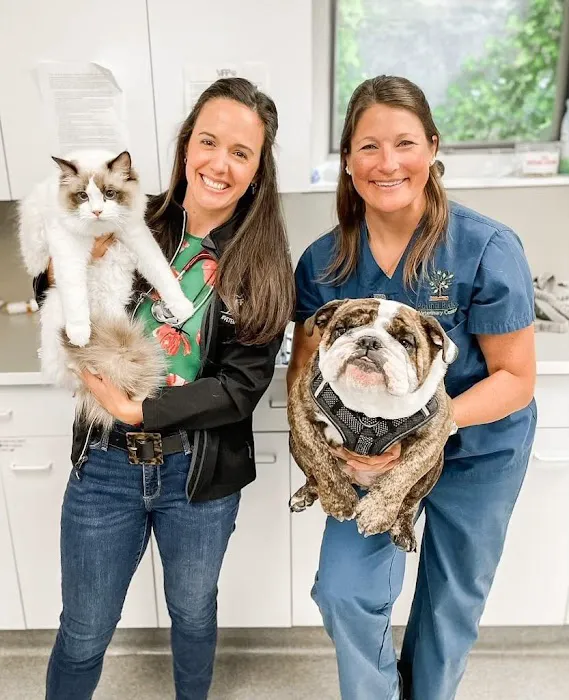 Veterinary Practice Partners Picture 6