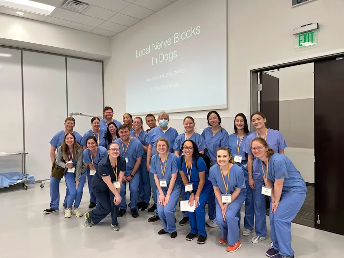 Veterinary Practice Partners Picture 5