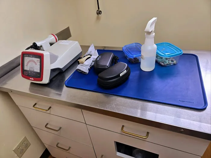 Veterinary Practice Partners Picture 7