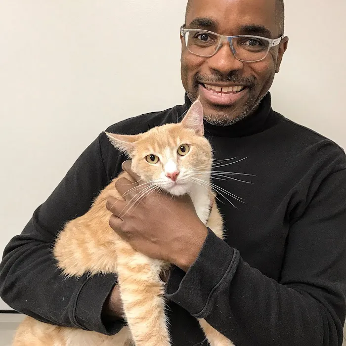Bridgeport Veterinary Hospital Pet Resort & Spa Picture 3