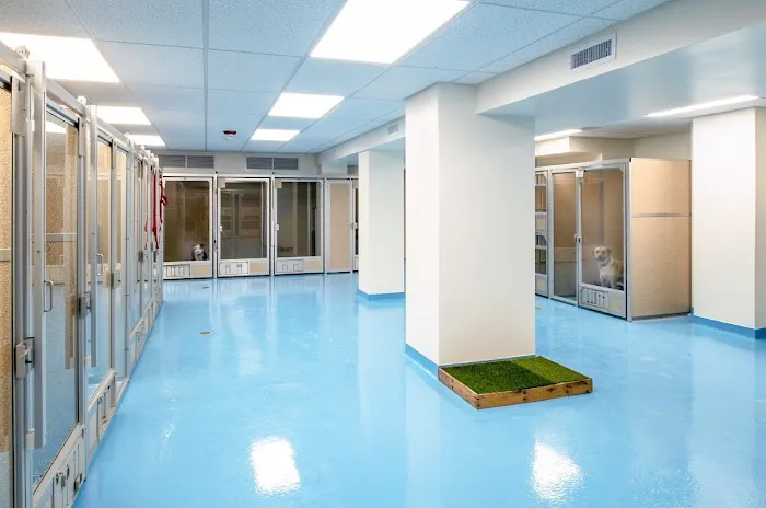 Bridgeport Veterinary Hospital Pet Resort & Spa Picture 8