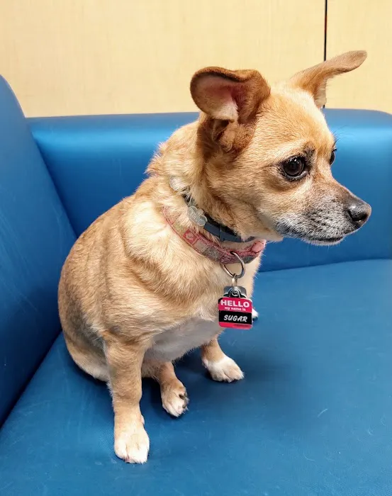 Banfield Pet Hospital Picture 2