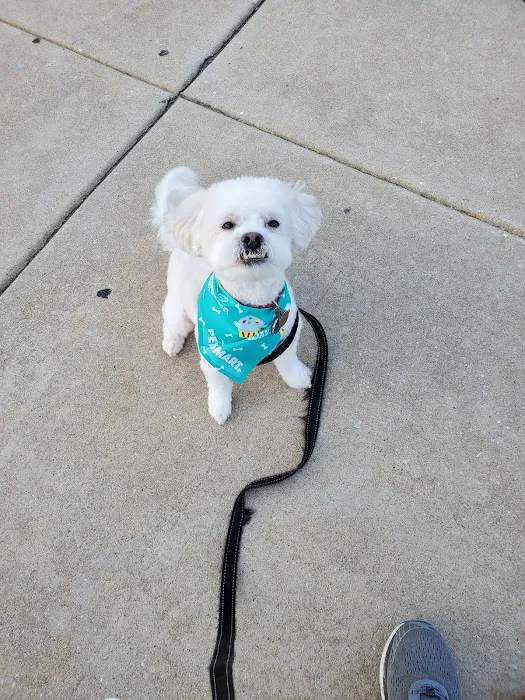 Banfield Pet Hospital Picture 5