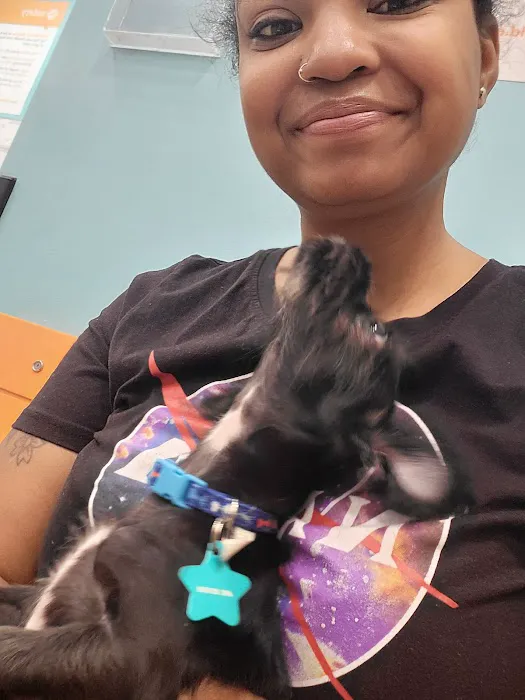 Banfield Pet Hospital Picture 7