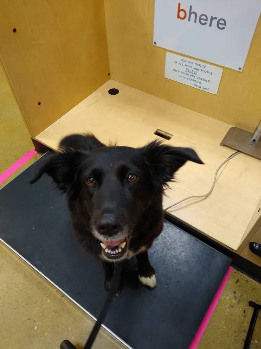 Banfield Pet Hospital Picture 6