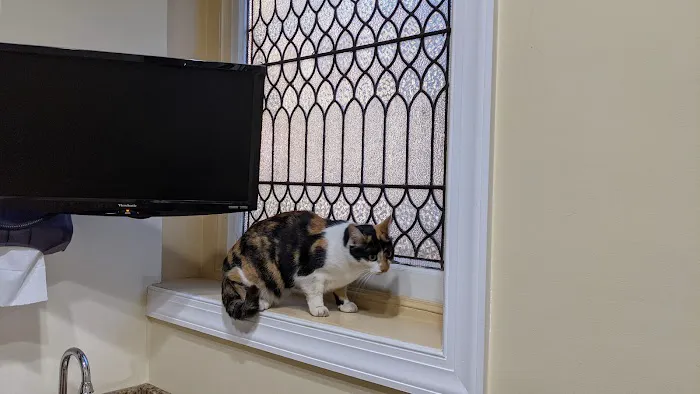 Cats Only Veterinary Hospital Picture 2