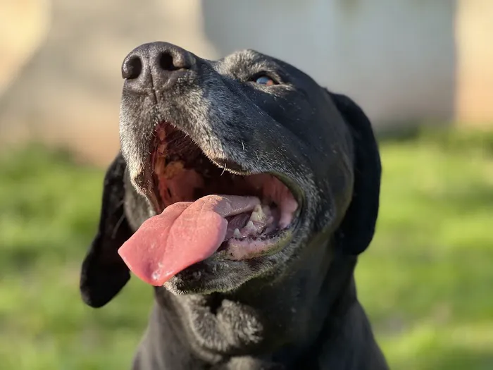 Vetco Total Care Animal Hospital Picture 7