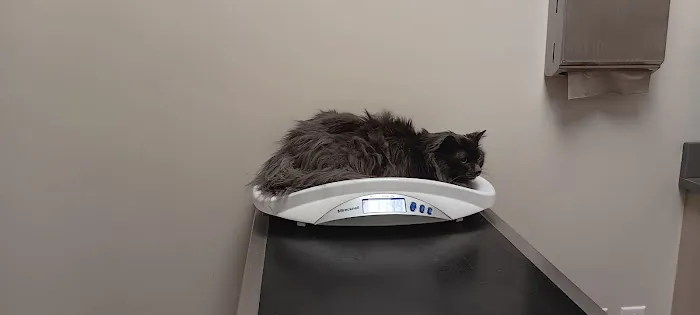 Vetco Total Care Animal Hospital Picture 10