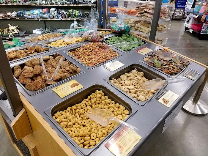 Petco Picture 2