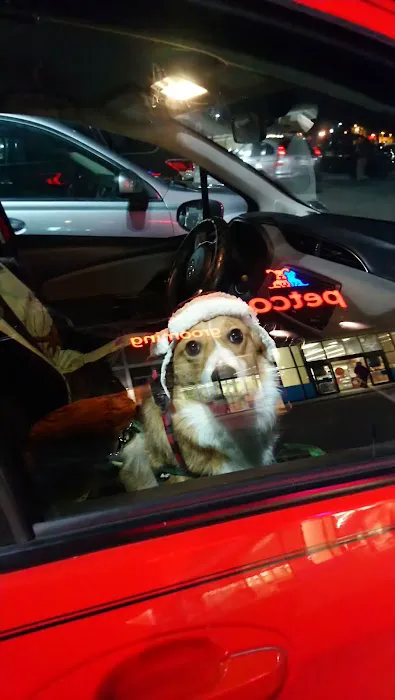 Petco Picture 7