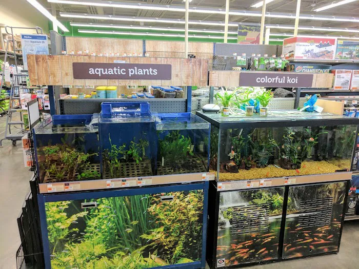 Petco Picture 8