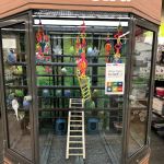 Petco