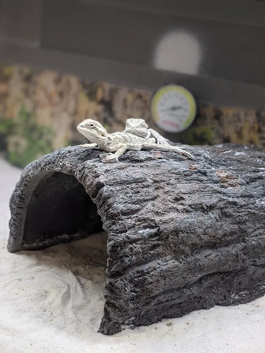 Petco Picture 2