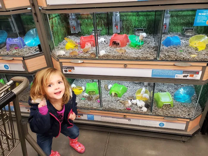 Petco Picture 4