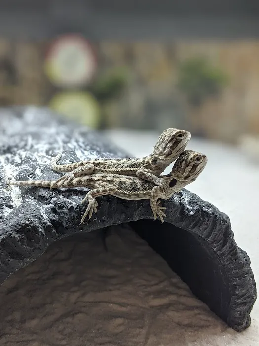Petco Picture 5