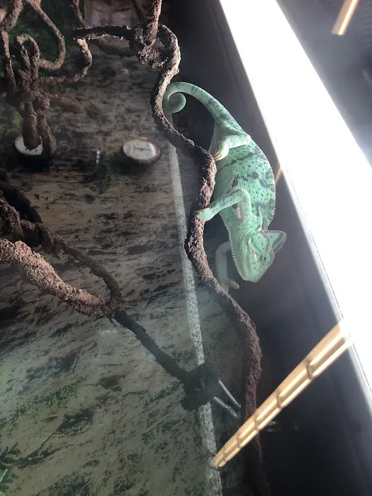 Petco Picture 10