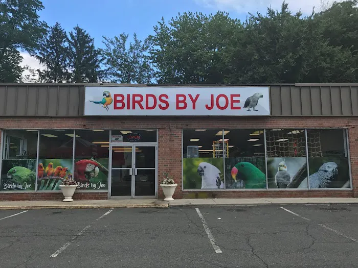 Birds By Joe Picture 1
