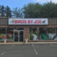 Birds By Joe ico