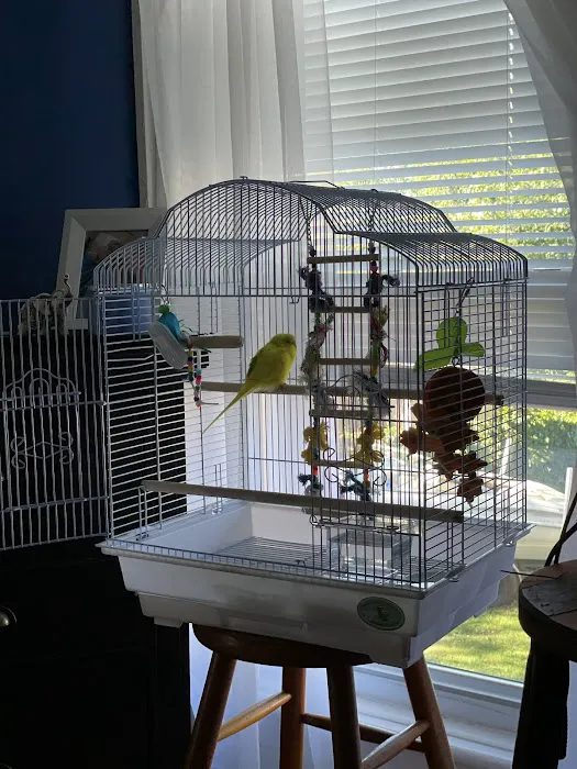 Birds By Joe Picture 4