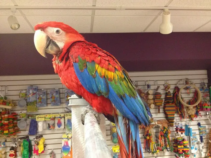 Birds By Joe Picture 7