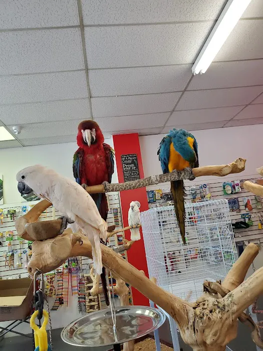 Birds By Joe Picture 10