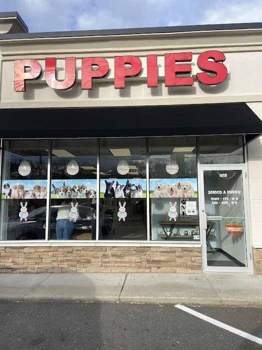 Select A Puppy, Inc. Picture 3