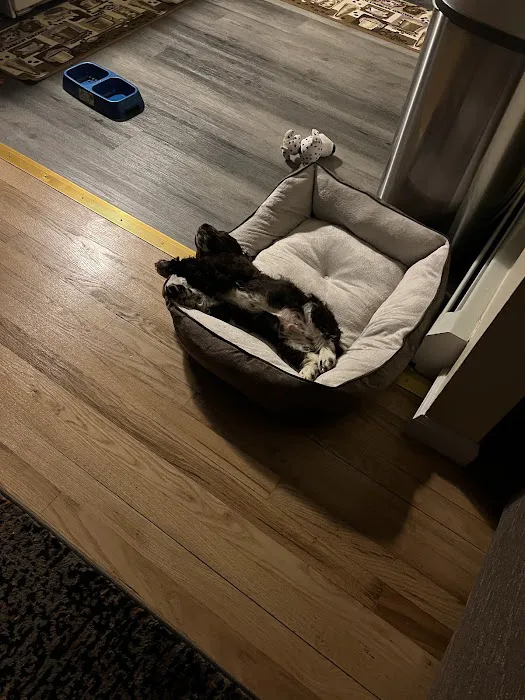 Select A Puppy, Inc. Picture 6