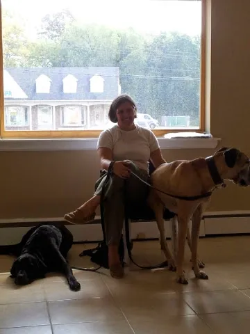 Animal Clinic of Warrington Picture 6