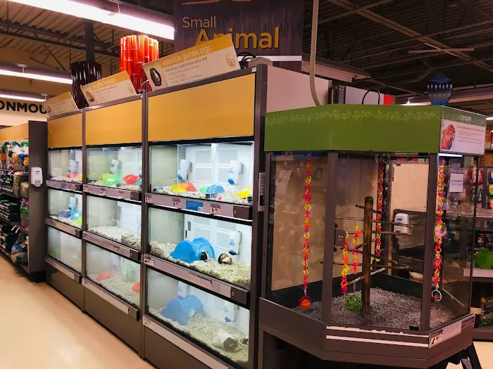 Petco Picture 1